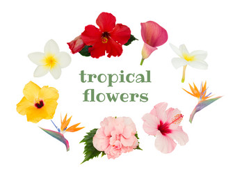 Similar image 20298391