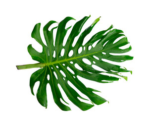 Similar image 20298416