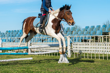 Similar image 20296979