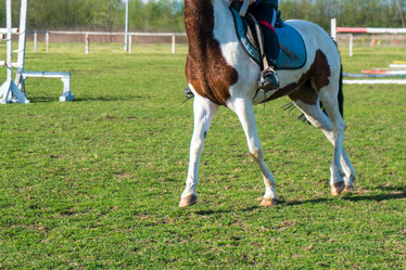 Similar image 20296982