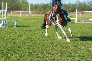 Similar image 20296996