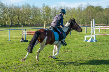 Similar image 20296997