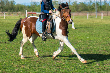 Similar image 20296998