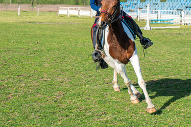 Similar image 20297006