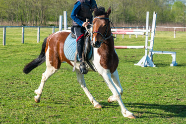 Similar image 20297020