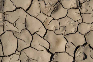 Similar image 20297204