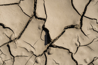 Similar image 20297205