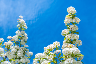 Similar image 20297135