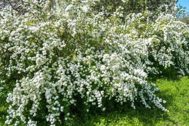 Similar image 20297155