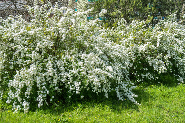 Similar image 20297229