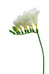 Similar image 20298394