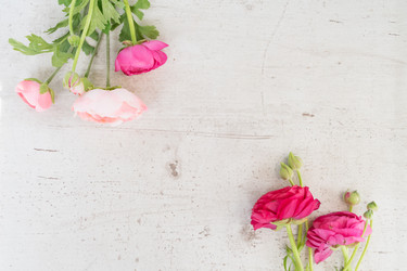 Similar image 20298377