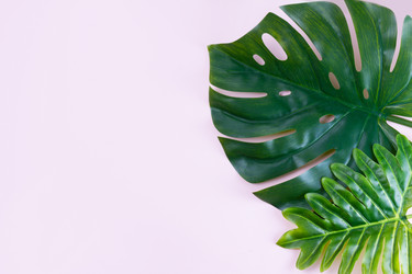 Similar image 20298425