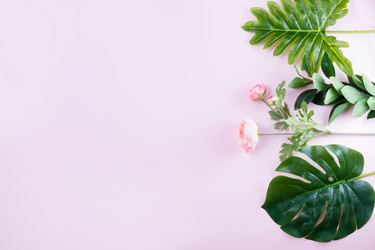 Similar image 20298427