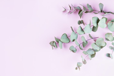 Similar image 20298431