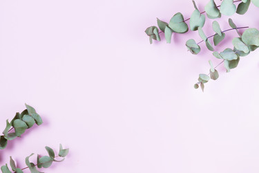 Similar image 20298433