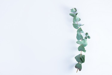 Similar image 20298435