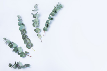 Similar image 20298437