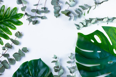 Similar image 20298443