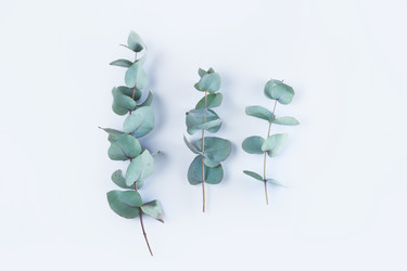 Similar image 20298445