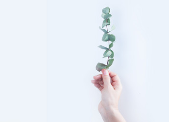 Similar image 20298447