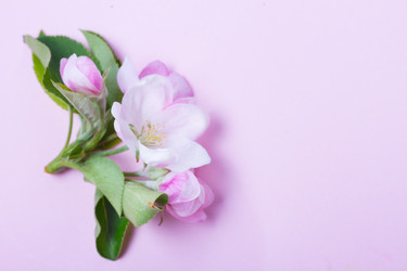 Similar image 20298449