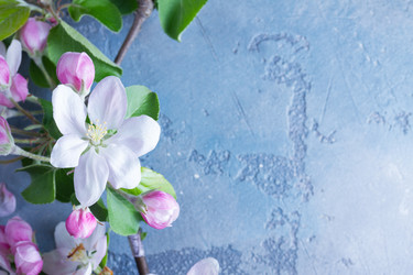 Similar image 20298379