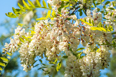 Similar image 20296989