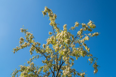 Similar image 20296992