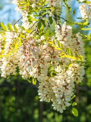 Similar image 20296995