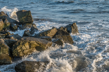 Similar image 20297004