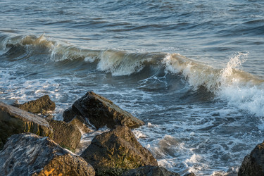 Similar image 20297005