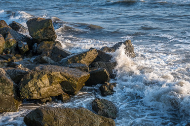 Similar image 20297007