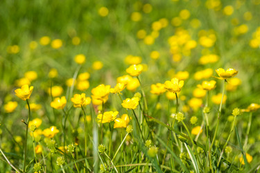 Similar image 20297023