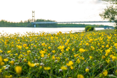 Similar image 20297024