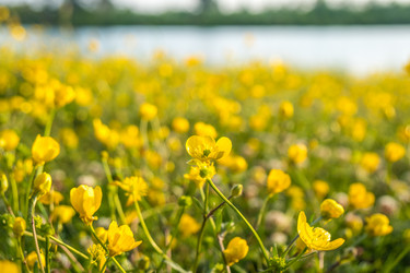 Similar image 20297033