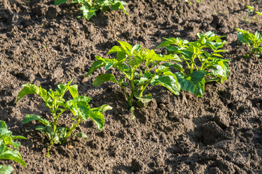 Similar image 20297083