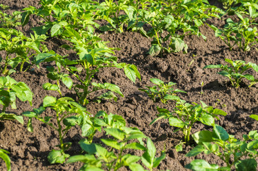 Similar image 20297085