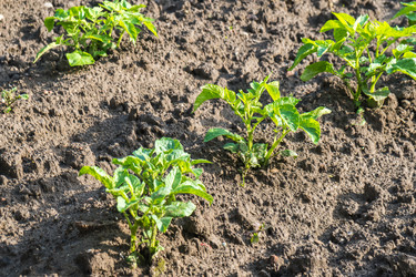 Similar image 20297103