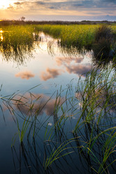 Similar image 20297110