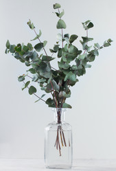 Similar image 20298440