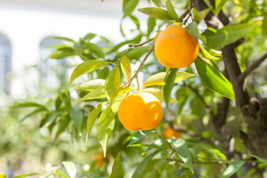 Similar image 20195678