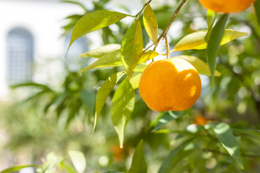 Similar image 20195679