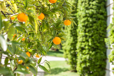 Similar image 20195711