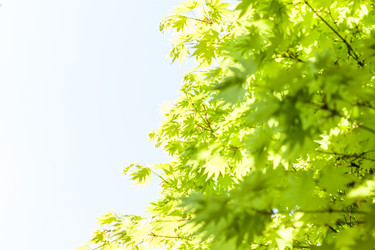 Similar image 20195717