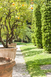 Similar image 20195754