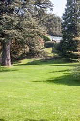 Similar image 20195706