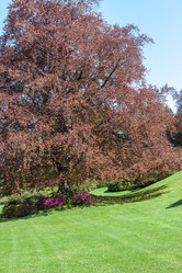 Similar image 20195680