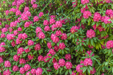 Similar image 20195683