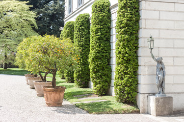 Similar image 20195684